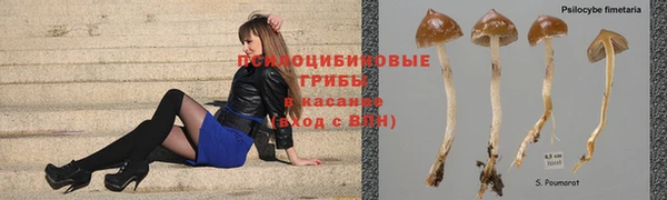 гидра Абаза