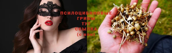 гидра Абаза