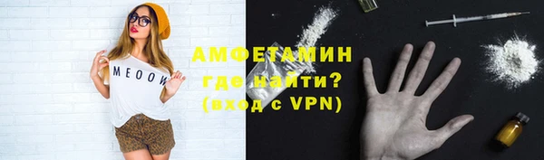 гидра Абаза