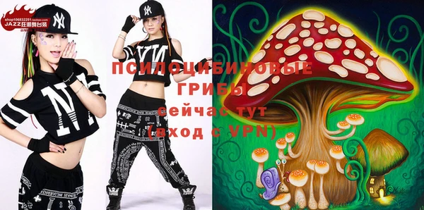 гидра Абаза