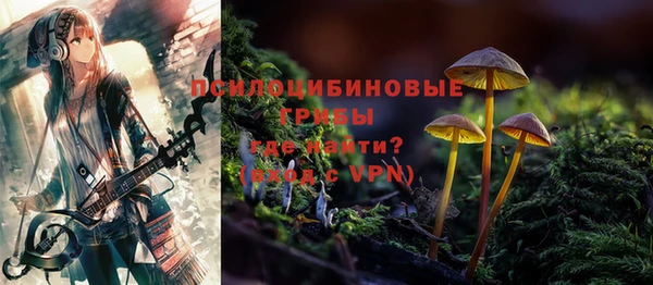 гидра Абаза