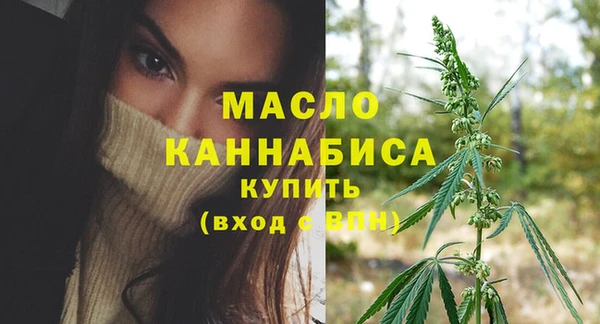 гидра Абаза