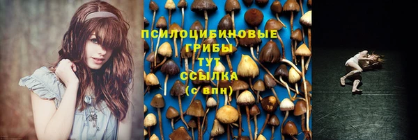 соль ск Абдулино
