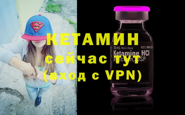 гидра Абаза