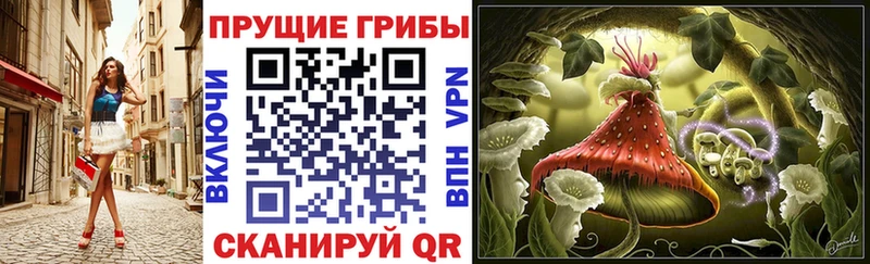 Галлюциногенные грибы ЛСД  МЕГА вход  Ялуторовск  закладка 